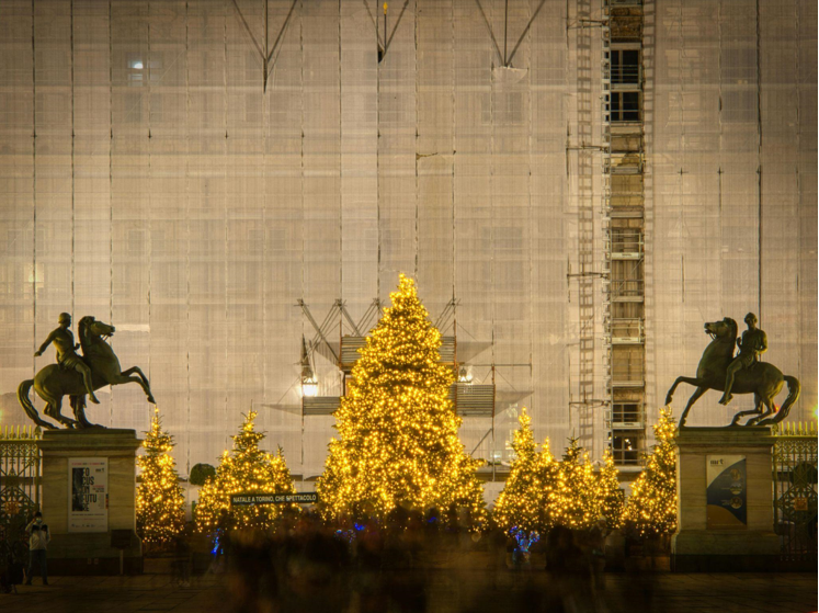 Why Flocked Artificial Christmas Trees Delight