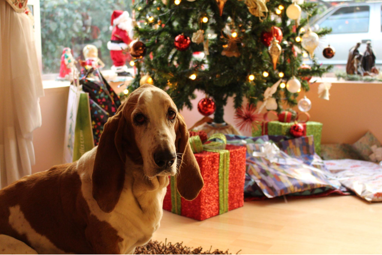 The Beauty and Tradition of Artificial Christmas Trees